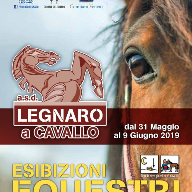 Esibizioni equestri durante la festa del Cavallo 2019 a Legnaro