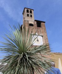 Tower Carrarese