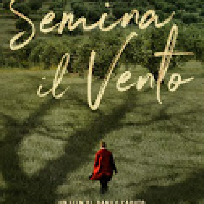 Semina il vento