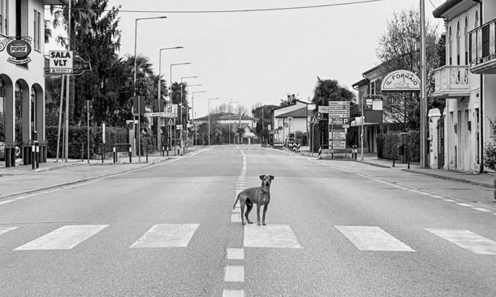 Era il Covid – Mostra fotografica