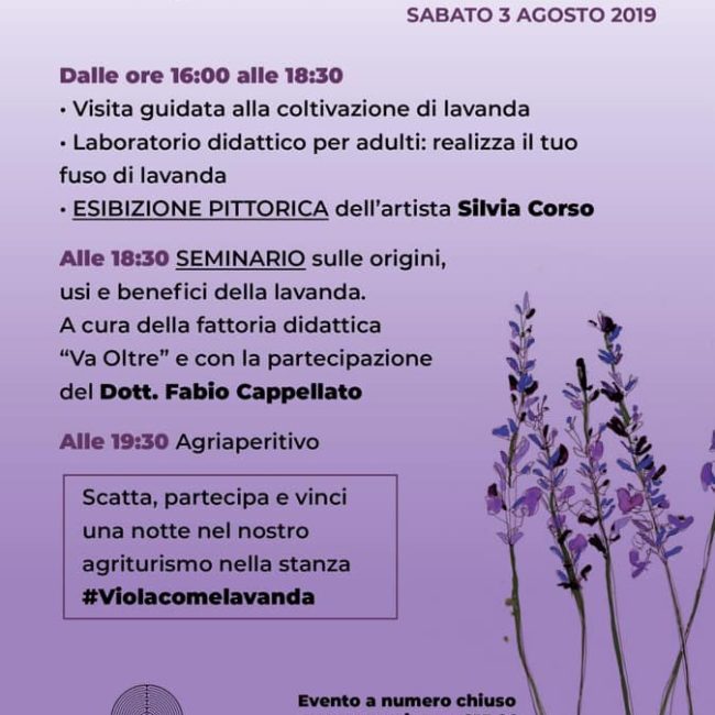 #VIOLACOMELAVANDA &#8211; SABATO 3 AGOSTO 2019