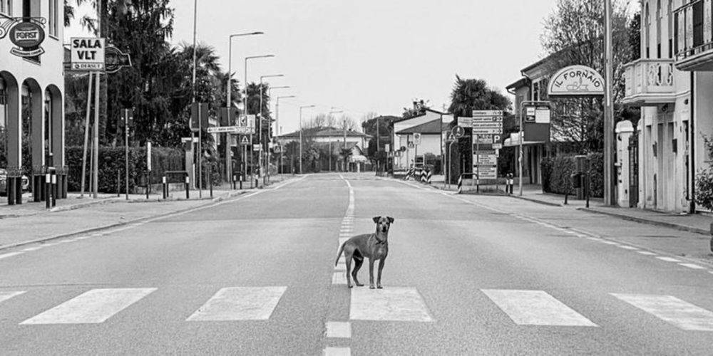 Era il Covid – Mostra fotografica