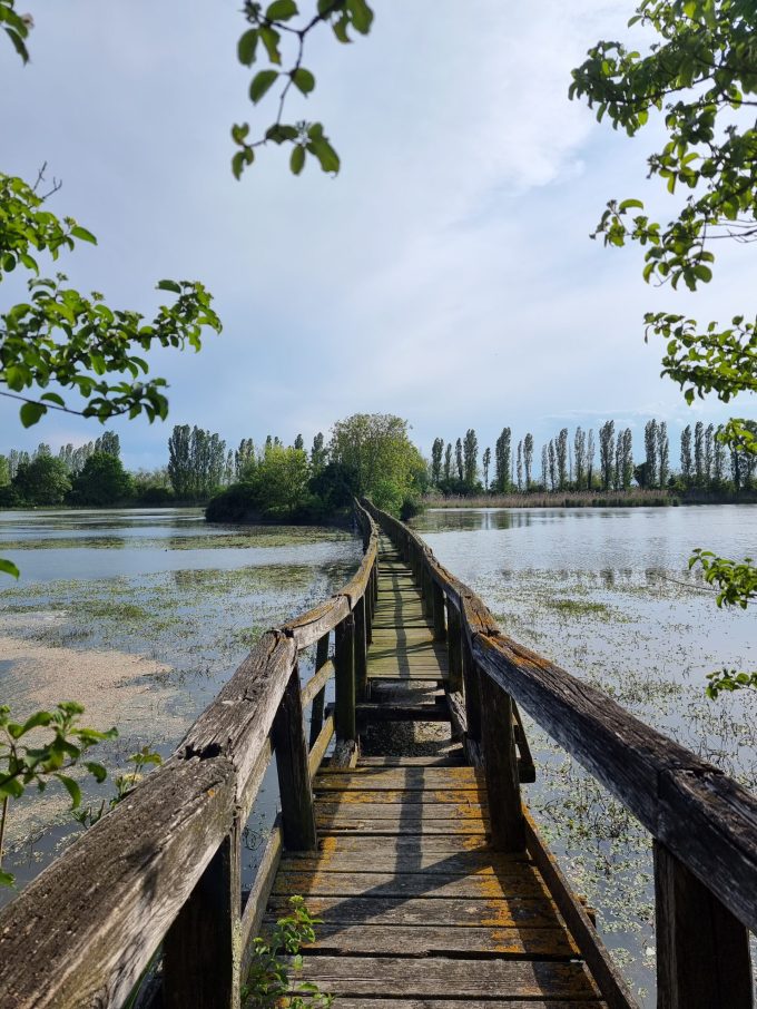 Oasi naturalistica di ca di mezzo - Foto di Nives Manin