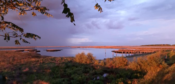 Spiaggia della Boschettona a Codevigo - Foto di Biancalisa Dorigo