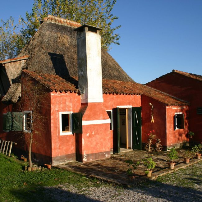 Festa dell&#8217;uva al casone rosso &#8211; Ed.2019