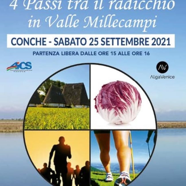 4 Passi tra il radicchio in Valle Millecampi a Codevigo
