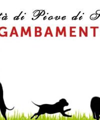 Area di Sgambamento Cani