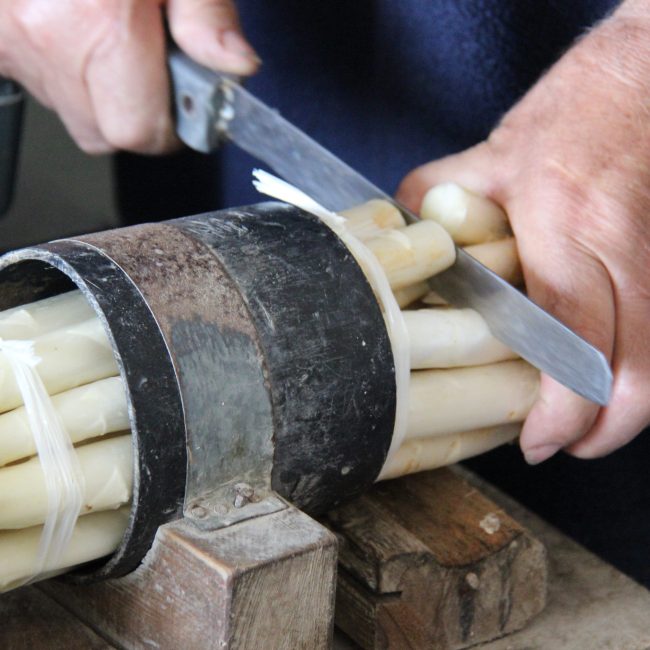 Festa dell’Asparago di Conche