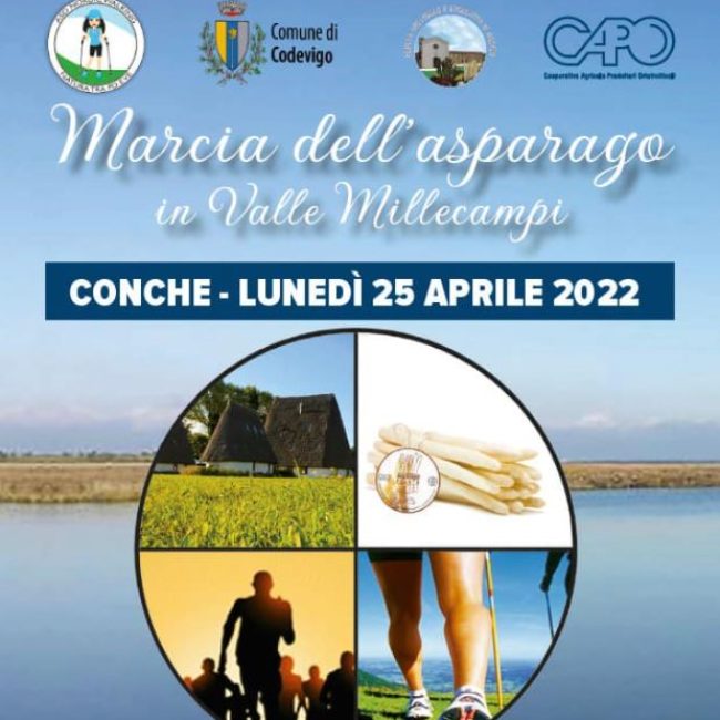 Marcia dell’asparago in valle millecampi – Edizione 2022