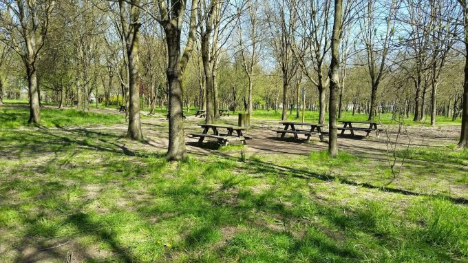 Bosco di Pianura